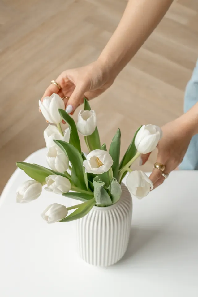 Mãos arrumando tulipas brancas